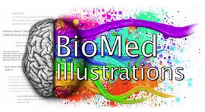 BioMed Illustrations