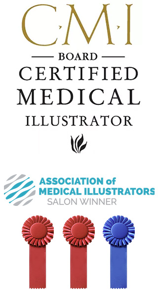 credentials
